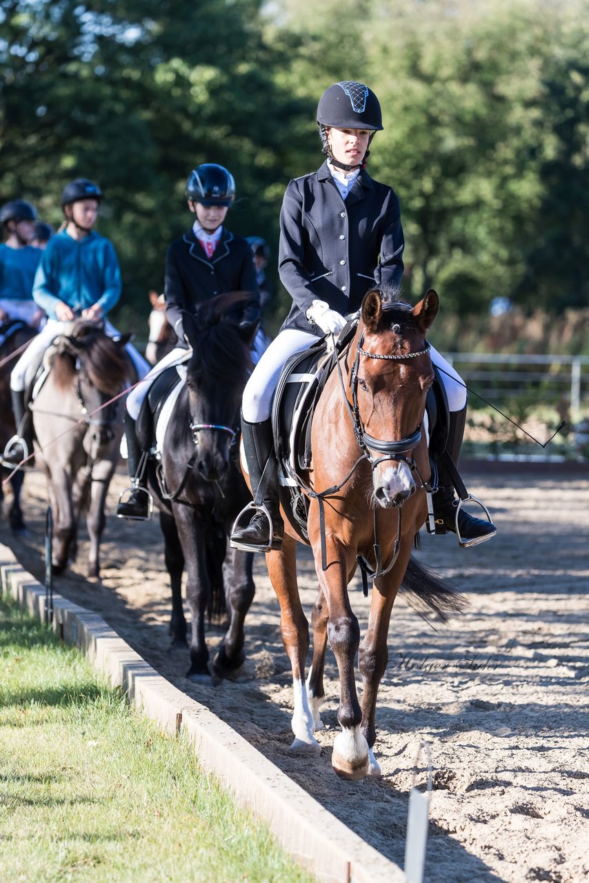 Bild 4 - Pony Akademie Turnier